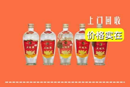 东莞市洪梅镇回收老五粮液